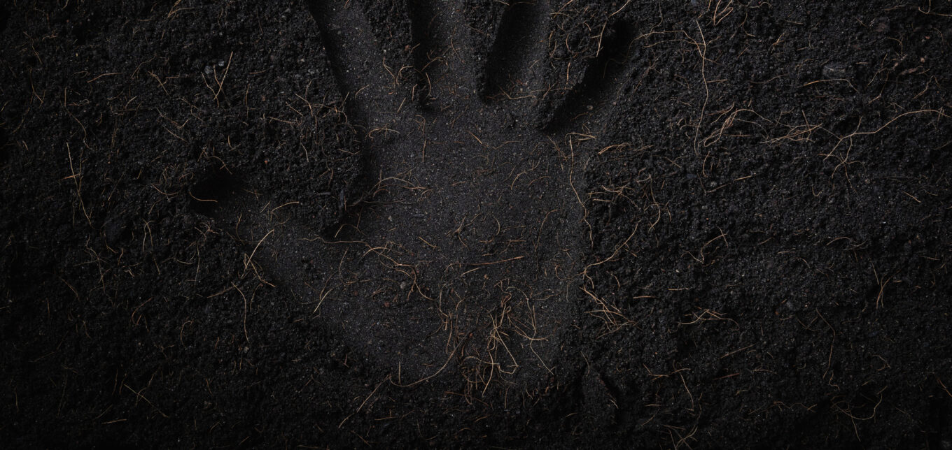 What is Human Composting? – Mother Earth News - Vimarsana News